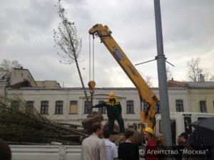 В Даниловском районе высажены 305 кустарников и 520 деревьев по программе благоустройства «Моя улица»