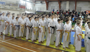 В ЮАО пройдет чемпионат России по каратэ киокусинкай