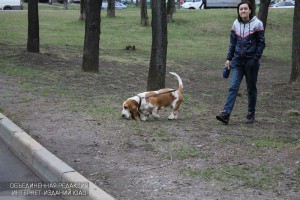 Житель ЮАО гуляет с собакой