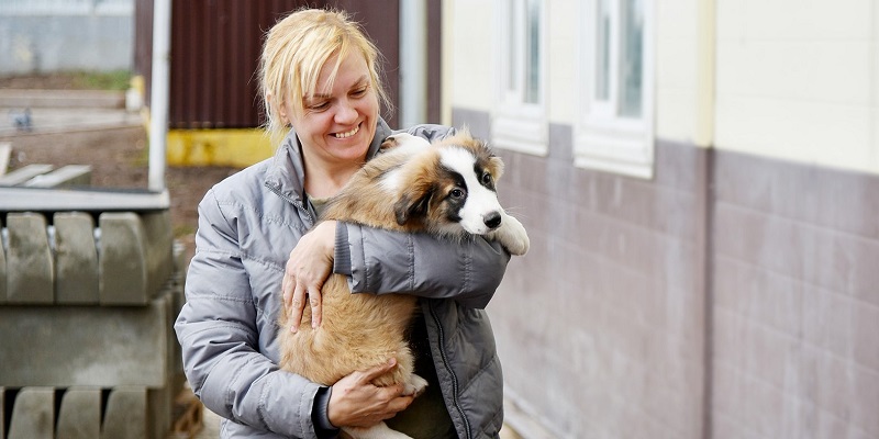 приют волонтер бездомные животные собака мос ру
