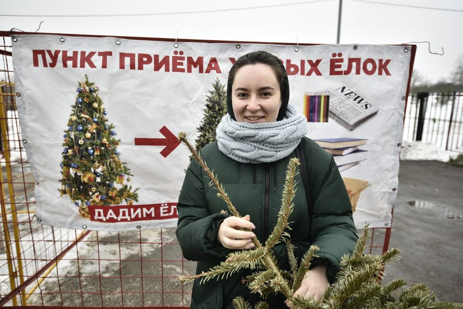 Жители Даниловского смогут сдать новогодние елки на переработку