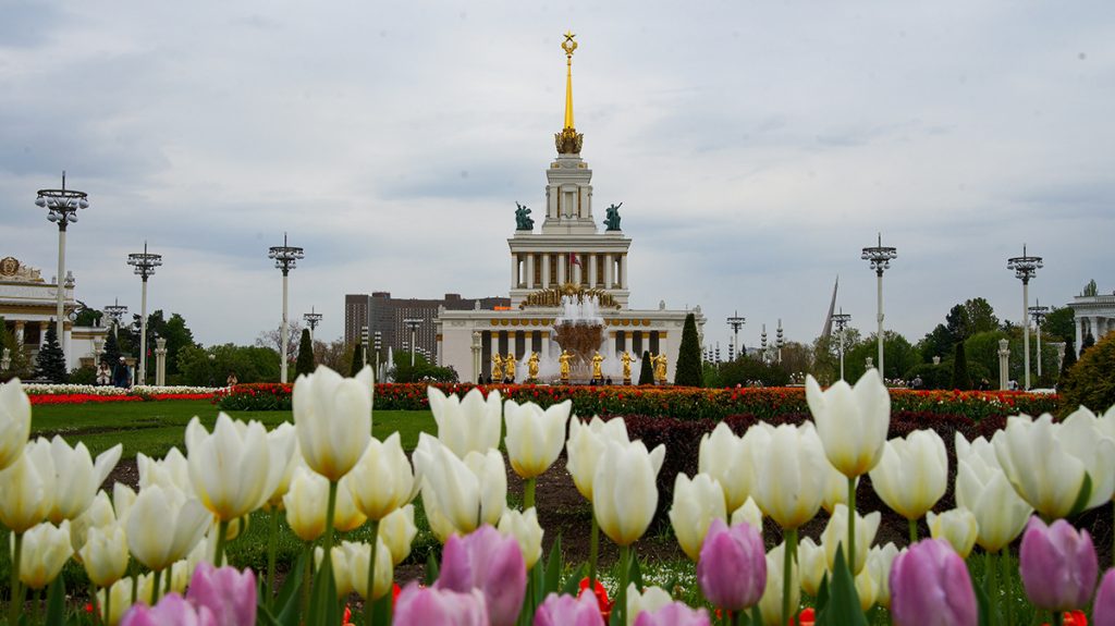 На площадке Москвы на выставке «Россия» начинается молодежная программа. Фото: Екатерина Алексеева, «Вечерняя Москва»