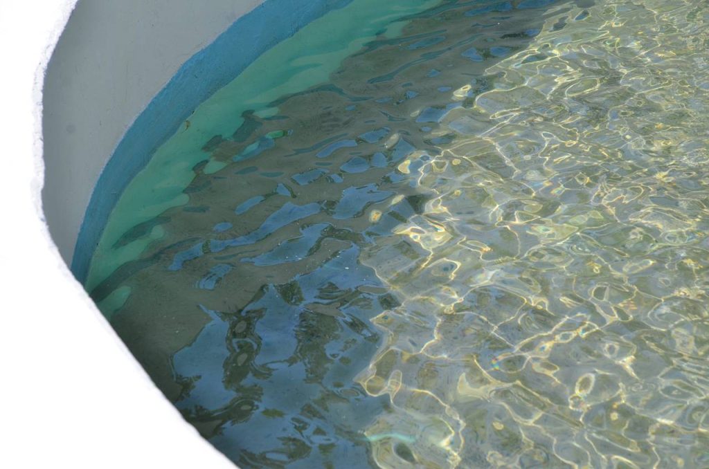 «Неделю безопасности на воде» проведут в Даниловском районе. Фото: Анна Быкова, «Вечерняя Москва»