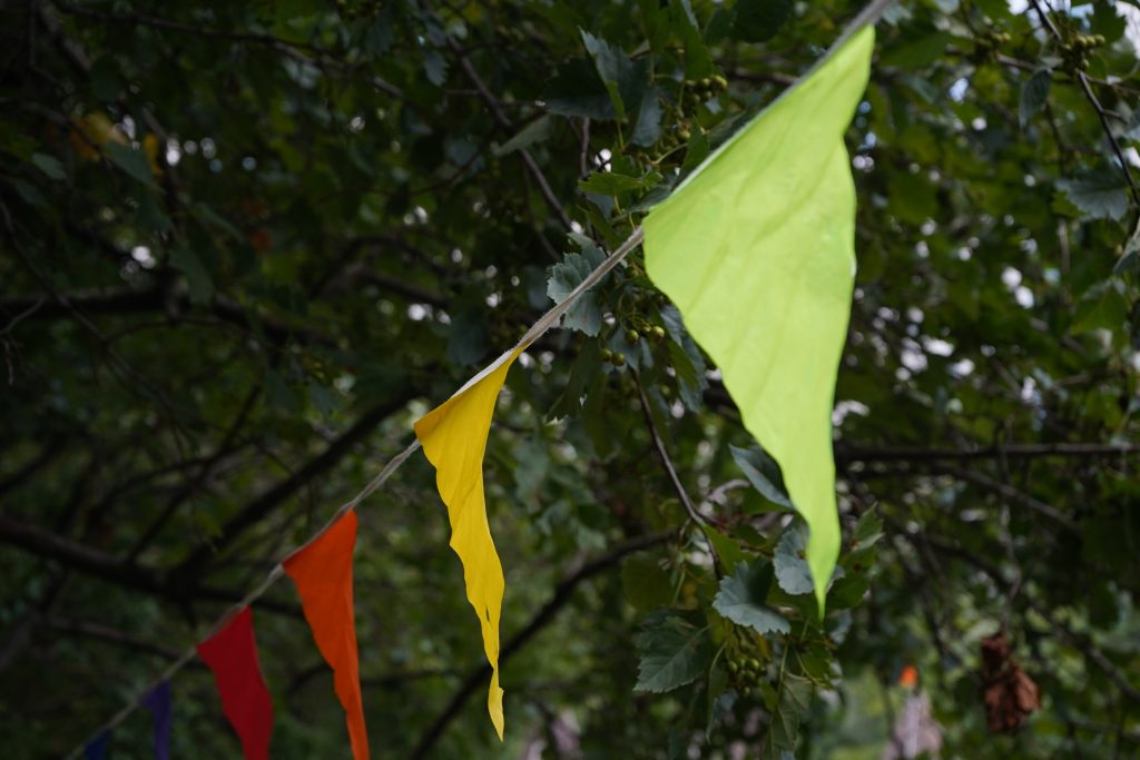 Праздничная программа состоится в Даниловском районе. Фото: Анна Быкова, «Вечерняя Москва»