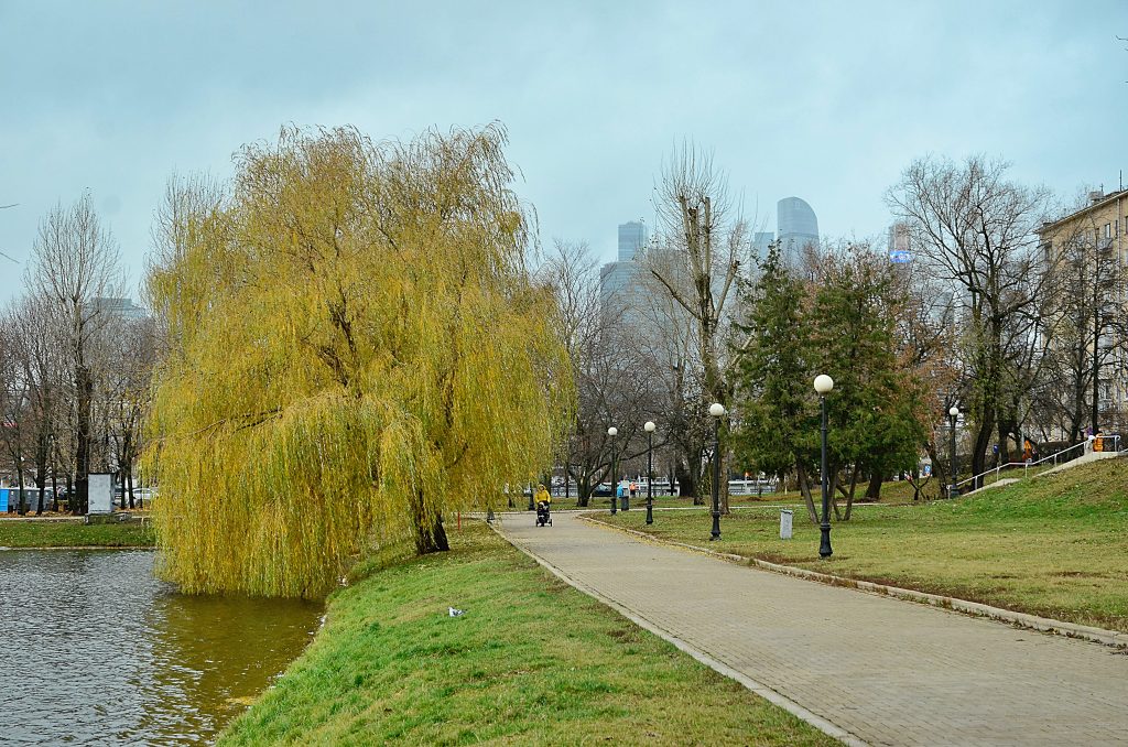 В Национальном центре Россия подвели итоги работы московских налоговиков за 9 месяцев. Фото: Анна Быкова, «Вечерняя Москва»