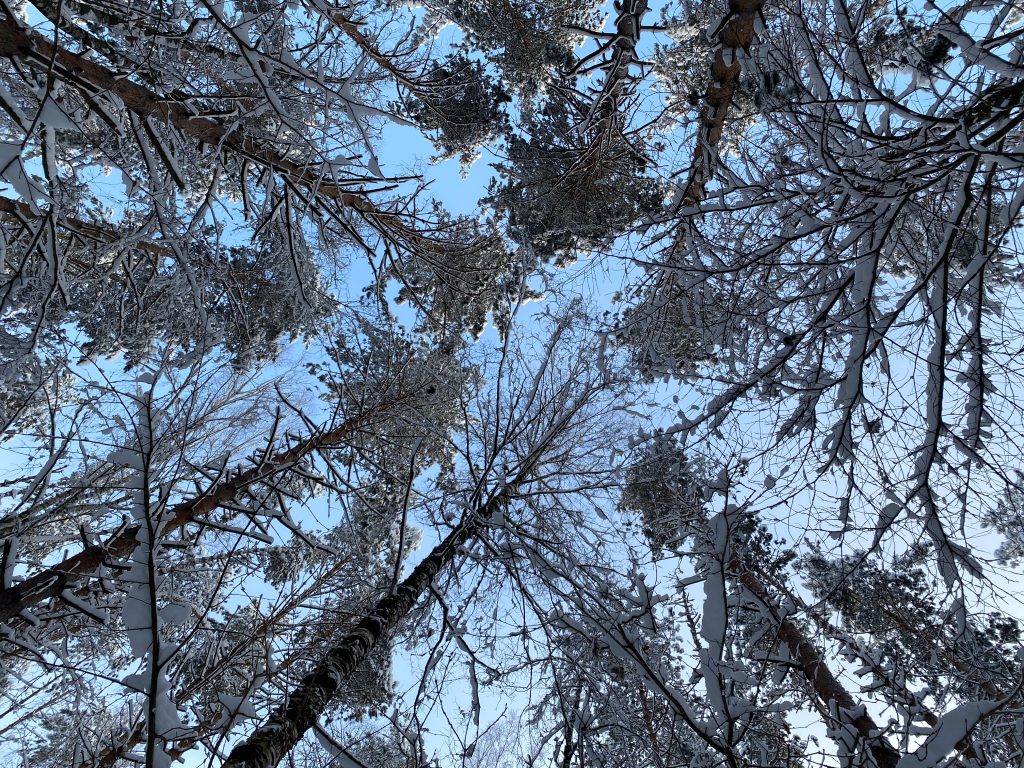 Участники туристического клуба школы №1272 сходили в первый поход. Фото: Анна Быкова, «Вечерняя Москва»