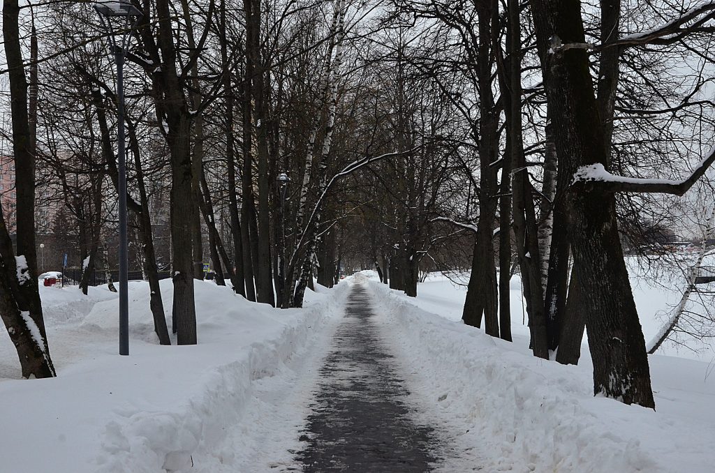 Команда туристического клуба школы №1272 отправится во вторую выездную тренировку. Фото: Анна Быкова, «Вечерняя Москва»