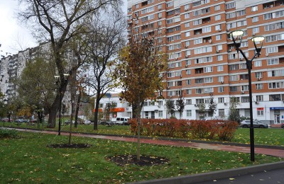 В Москве в этом году высадят более 3 млн деревьев