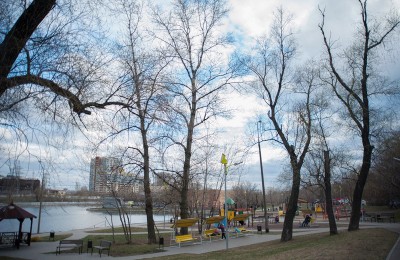 Деревья в Даниловском народном парке
