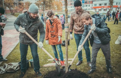 В Даниловском районе проведут массовое озеленение
