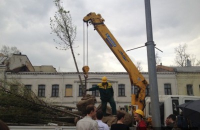 В Даниловском районе высажены 305 кустарников и 520 деревьев по программе благоустройства «Моя улица»