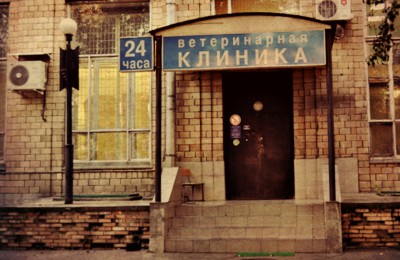 Ветеринарная клиника в Даниловском районе