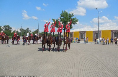 Верховая езда в музее-заповеднике «Коломенское»
