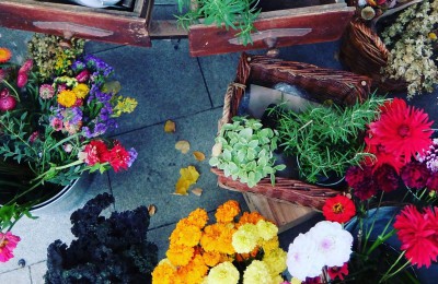 Владелица цветочной лавки на Даниловском рынке рассказала, какие цветы можно подарить учителю к 1 сентября