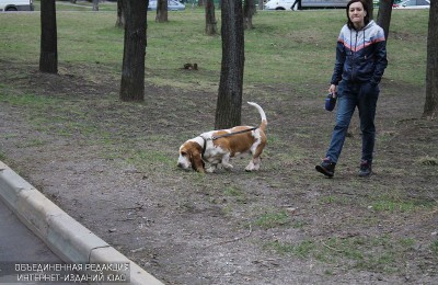 Привить животных от бешенства можно будет в Даниловском районе