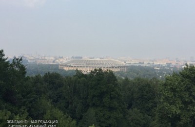 Панорама с видом на спорткомплекс "Лужники"