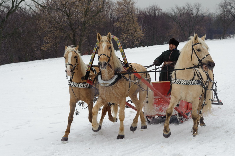 Конкурс фотографий зимнего Коломенского стартовал в ЮАО