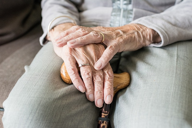 пенсионеры социальная поддержка помощь День пожилого человека