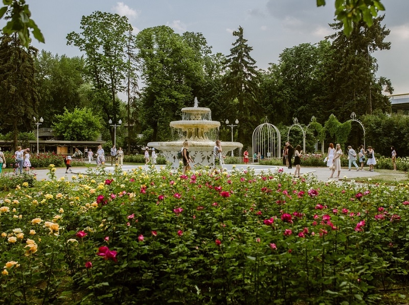 фонтан парк горького лето природа