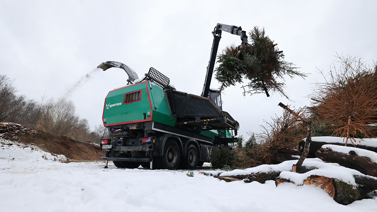 Экологичное потребление, или Пункты приема елок будут работать до 25 февраля. Фото: Виктор Хабаров, «Вечерняя Москва»