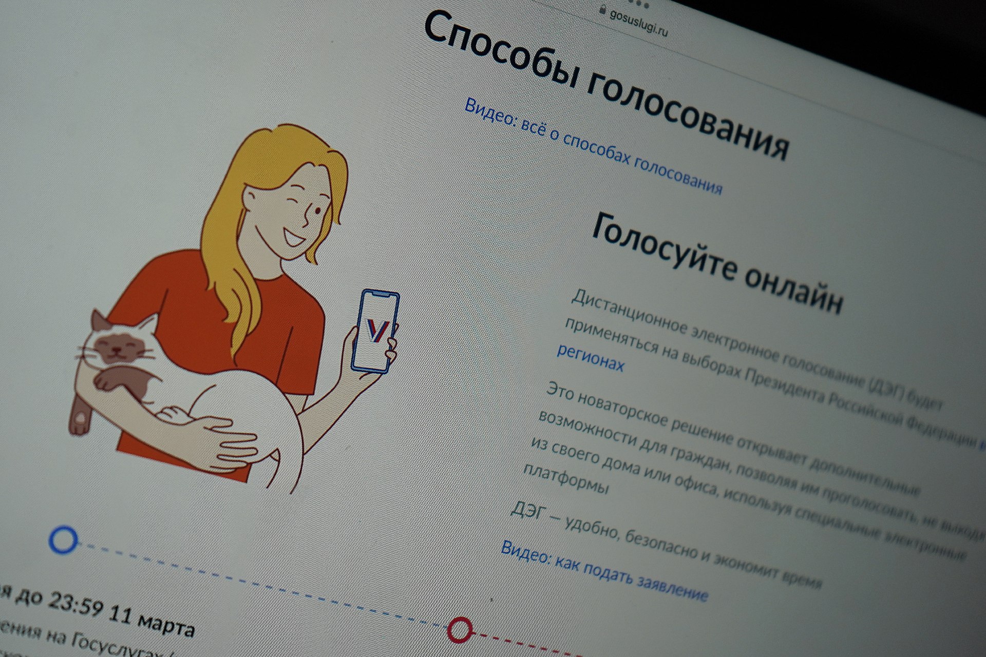 ОШ: Московская система ДЭГ отразила в ходе выборов свыше 4,6 млн кибератак. Фото: Анна Быкова, «Вечерняя Москва»