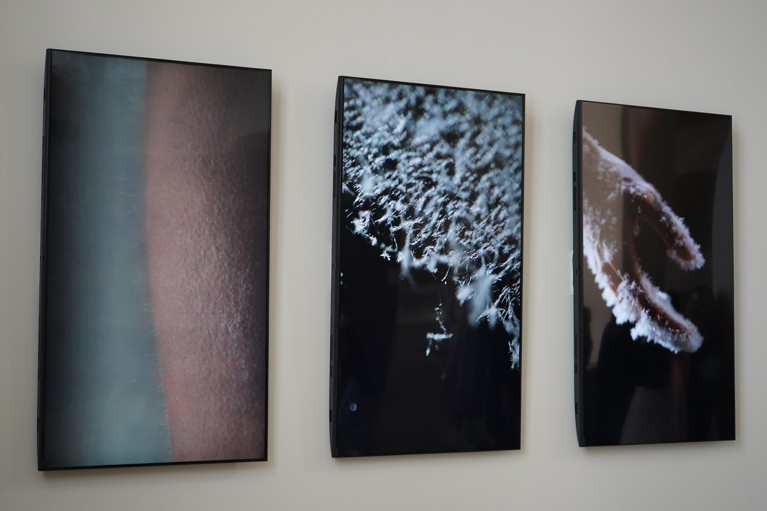 Галерея «Пересветов Переулок» откроет выставку работ студентов мастерской фотографии «Studio 39». Фото: Анна Быкова, «Вечерняя Москва»