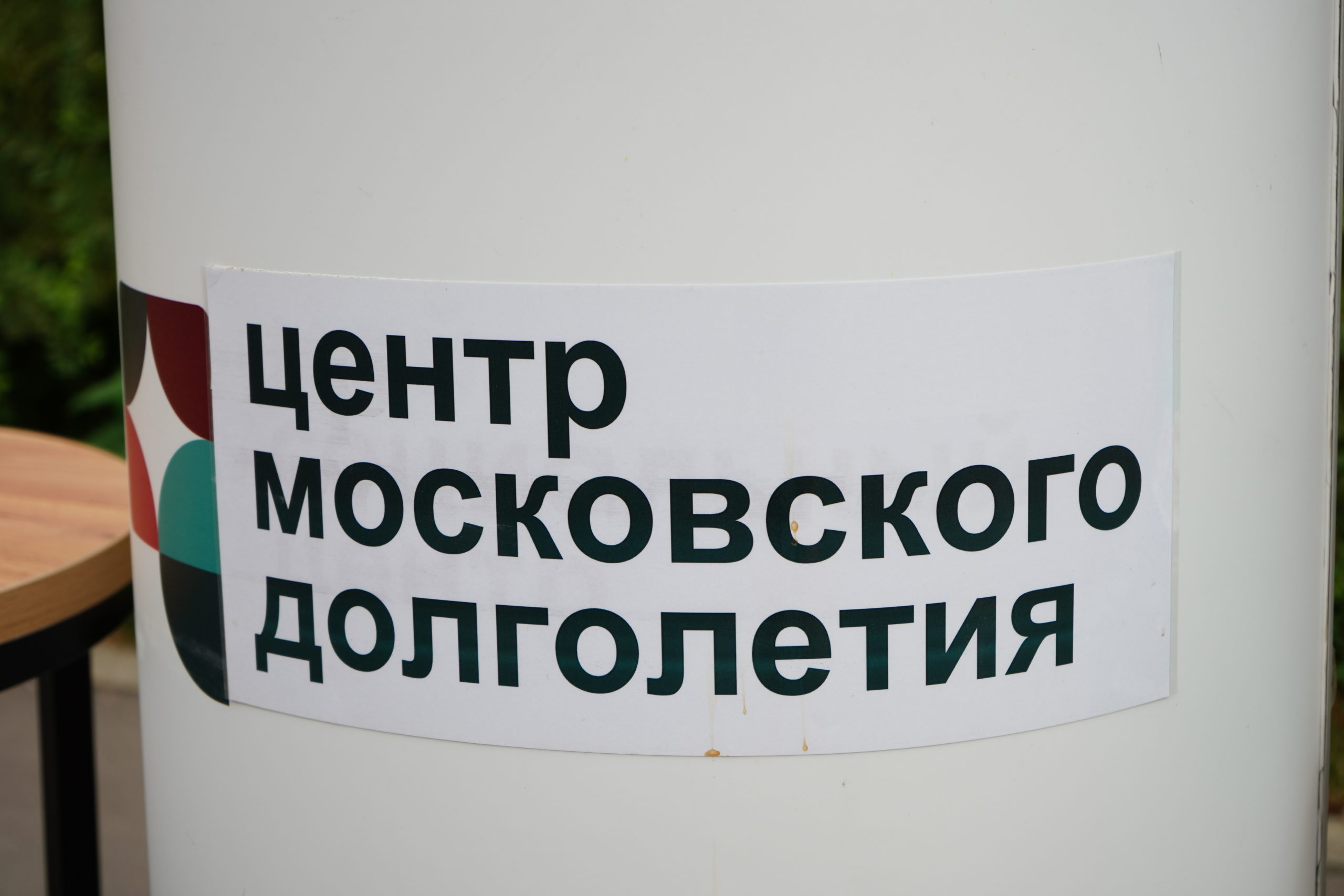 Сотрудники ЦМД «Даниловский» пригласили на пешие прогулки. Фото: Анна Быкова, «Вечерняя Москва»