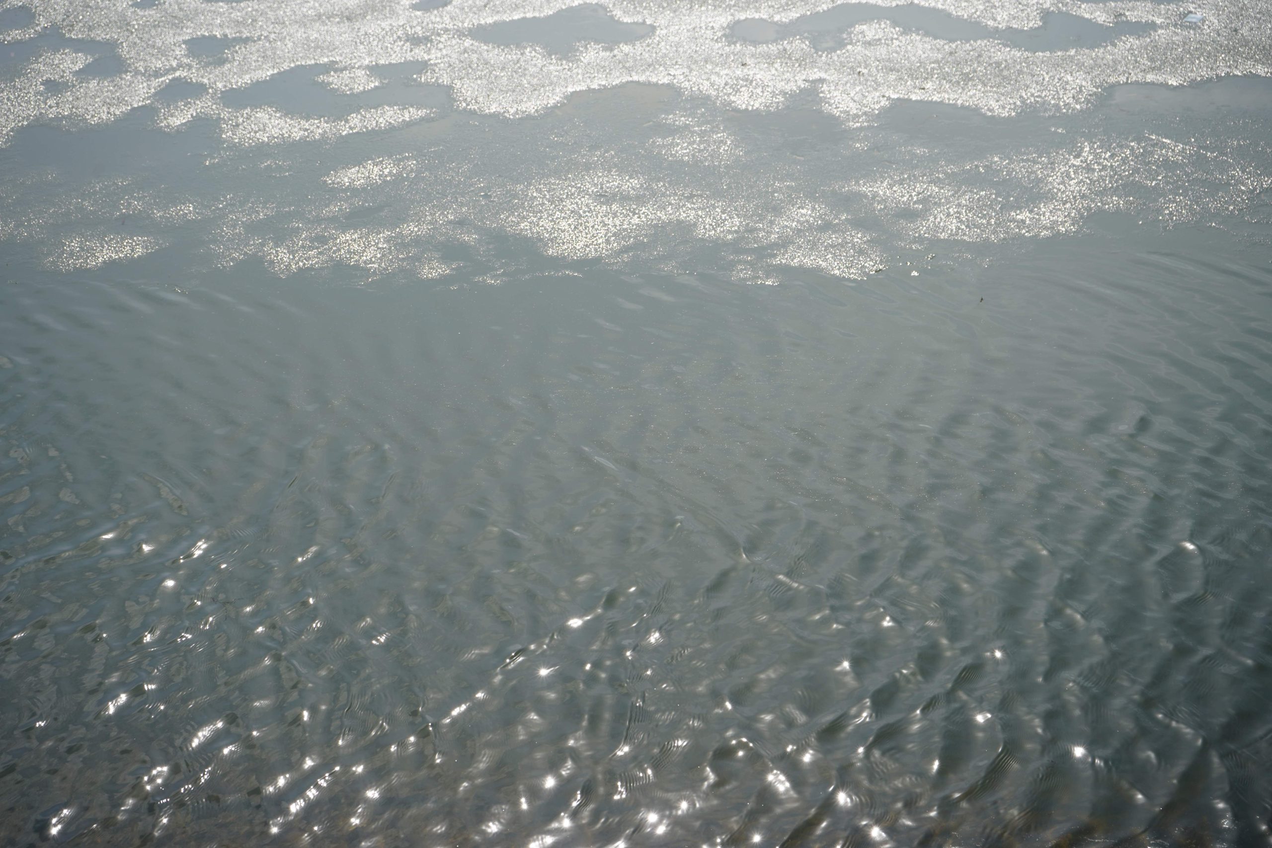 Восстановление пруда начнется в Тюфелевой роще. Фото: Анна Быкова, «Вечерняя Москва»