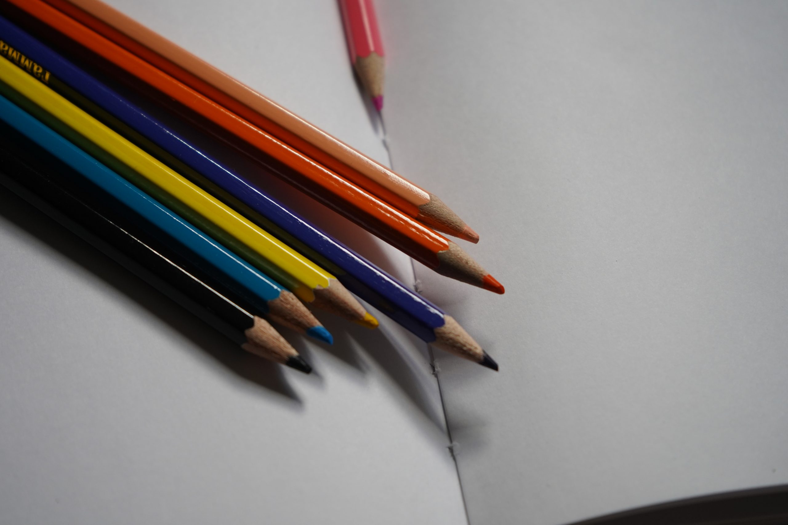 Мастер-классы для детей пройдут в Даниловском районе. Фото: Анна Быкова, «Вечерняя Москва»