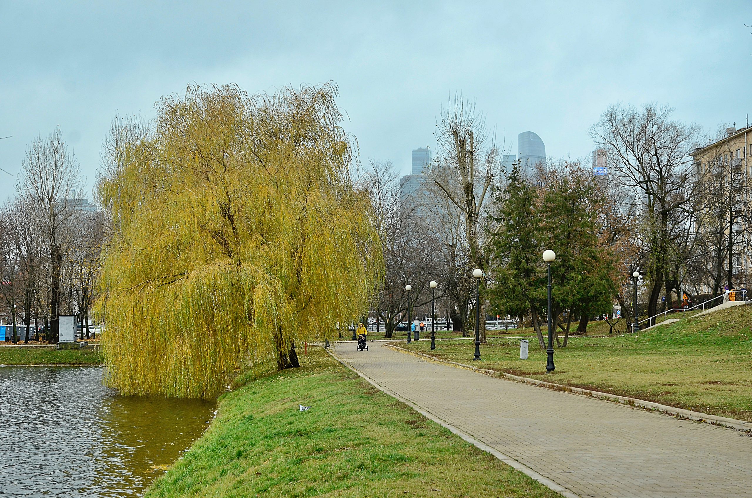 В Национальном центре Россия подвели итоги работы московских налоговиков за 9 месяцев. Фото: Анна Быкова, «Вечерняя Москва»