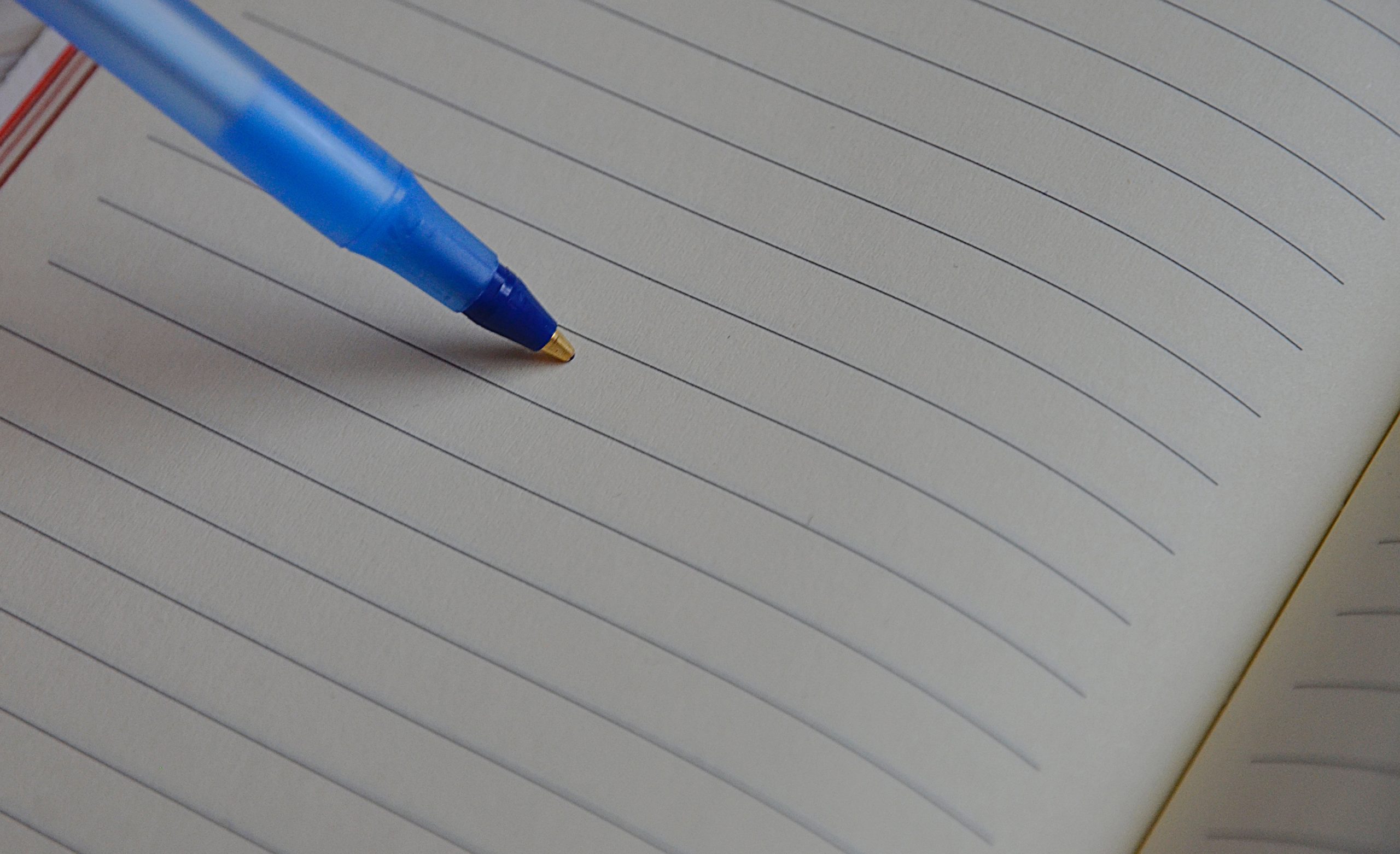 Встреча в рамках проекта «Многонациональная Москва — территория без конфликтов» прошла в Даниловском районе. Фото: Анна Быкова, «Вечерняя Москва»