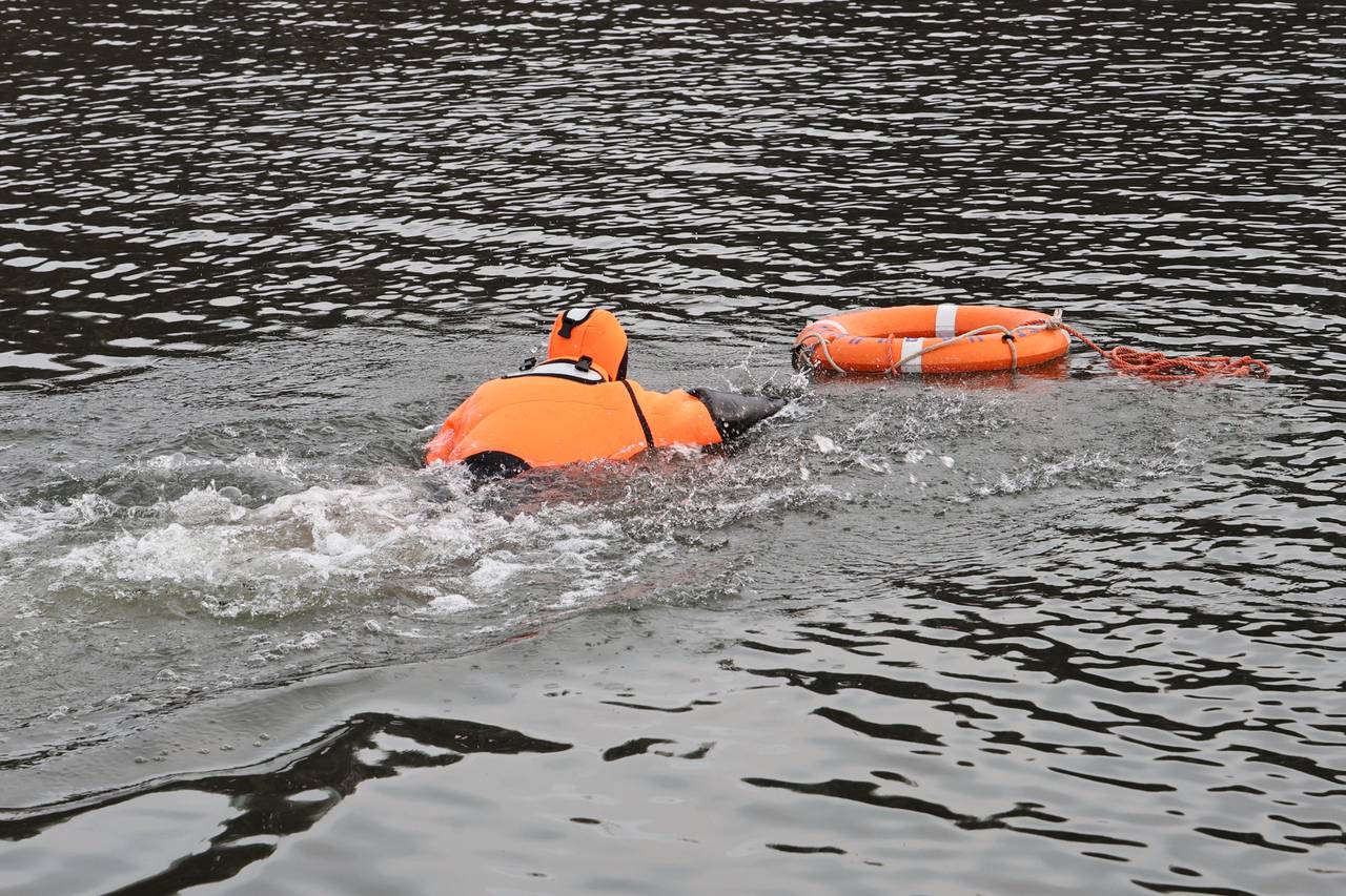 Фото: Управление по ЮАО Департамент