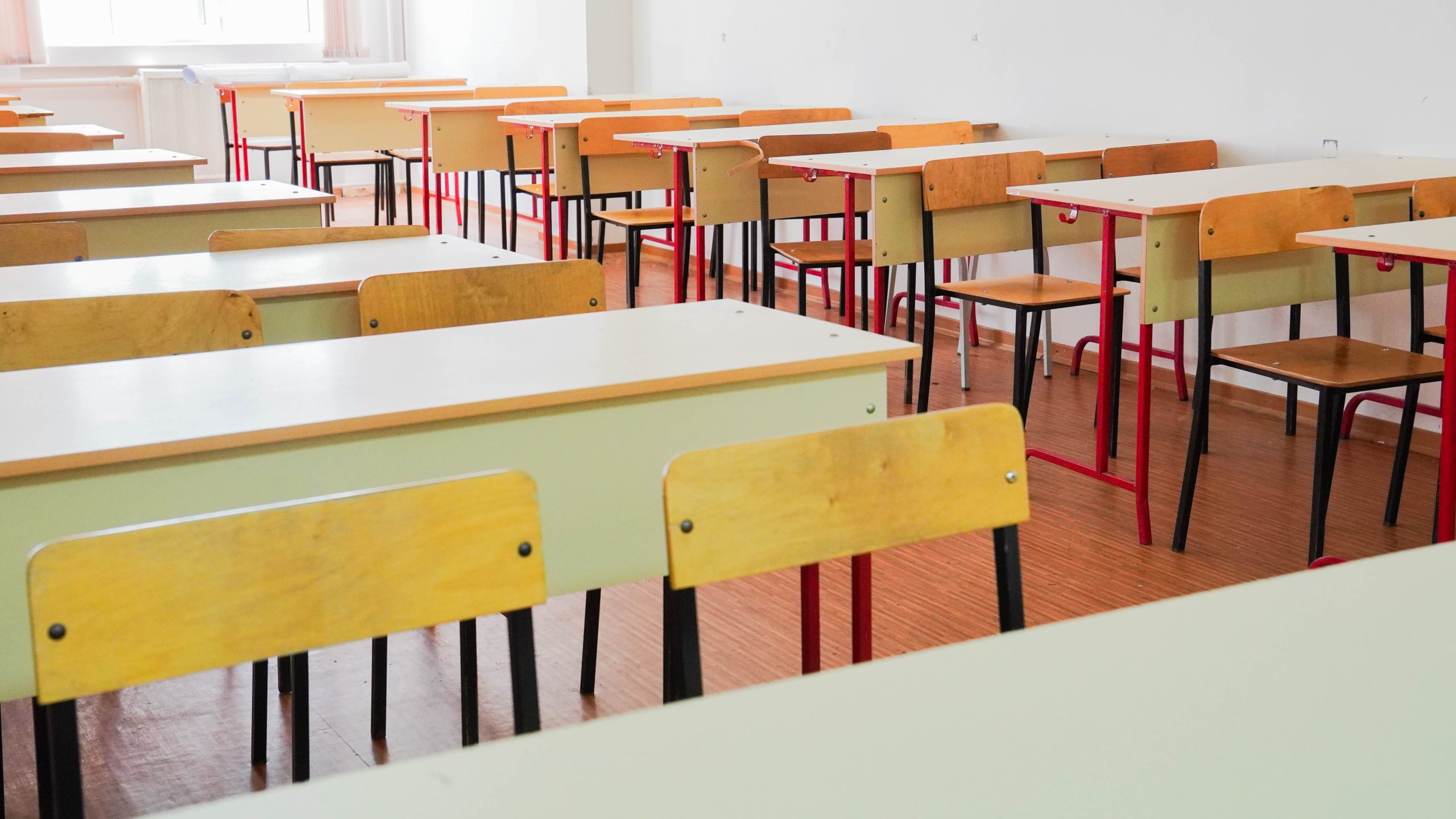 Председатель СНО МУИВ вошла в состав Совета обучающихся. Фото: Ксения Догонашева, «Вечерняя Москва»