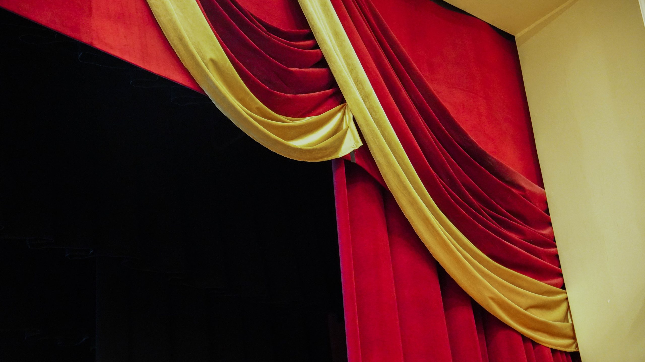 Ученики школы №1257 выступили с благотворительным концертом. Фото: Анна Быкова, «Вечерняя Москва»