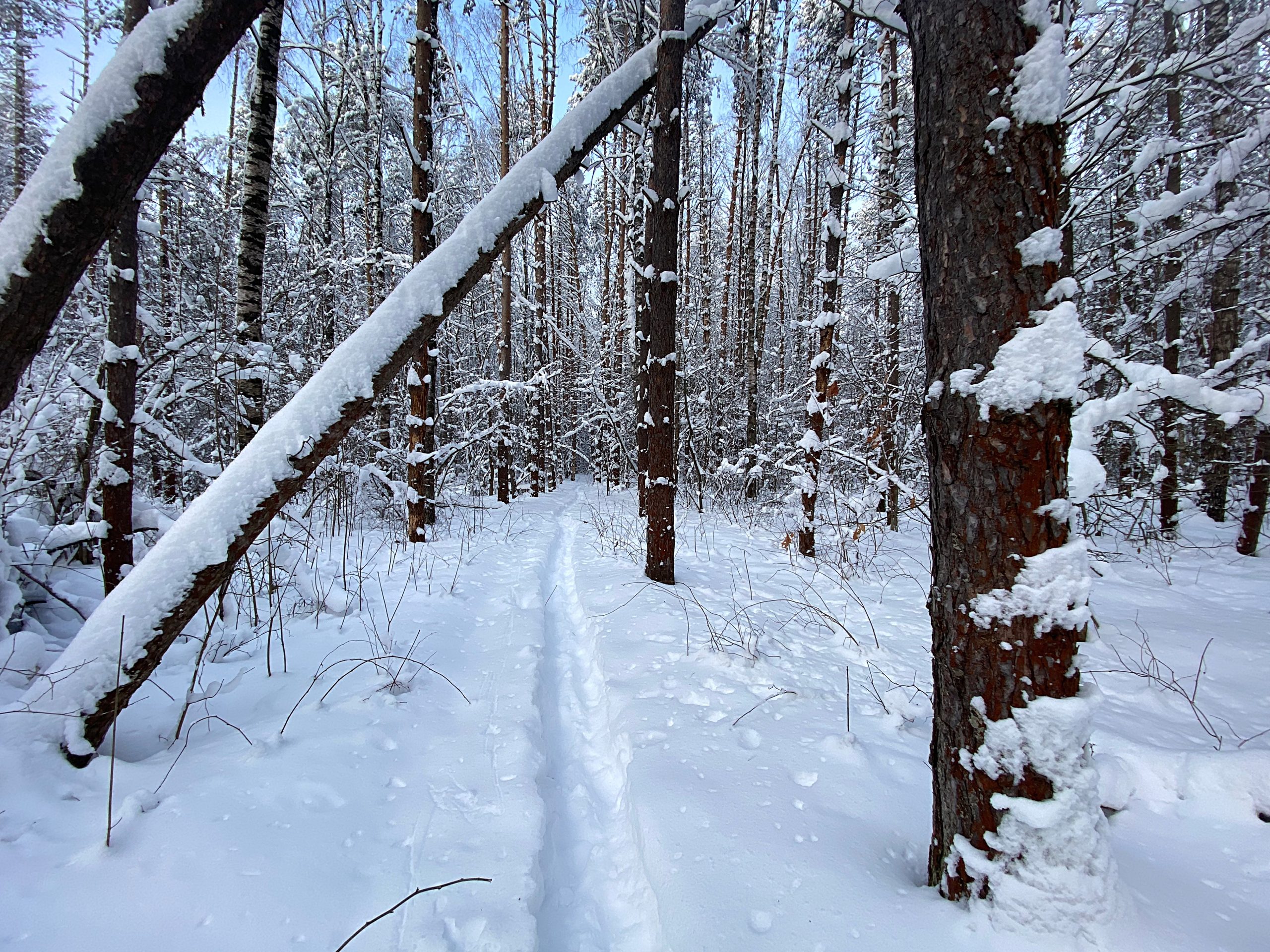 Участники туристического клуба школа №1272 организуют тренировочный поход. Фото: Анна Быкова, «Вечерняя Москва»