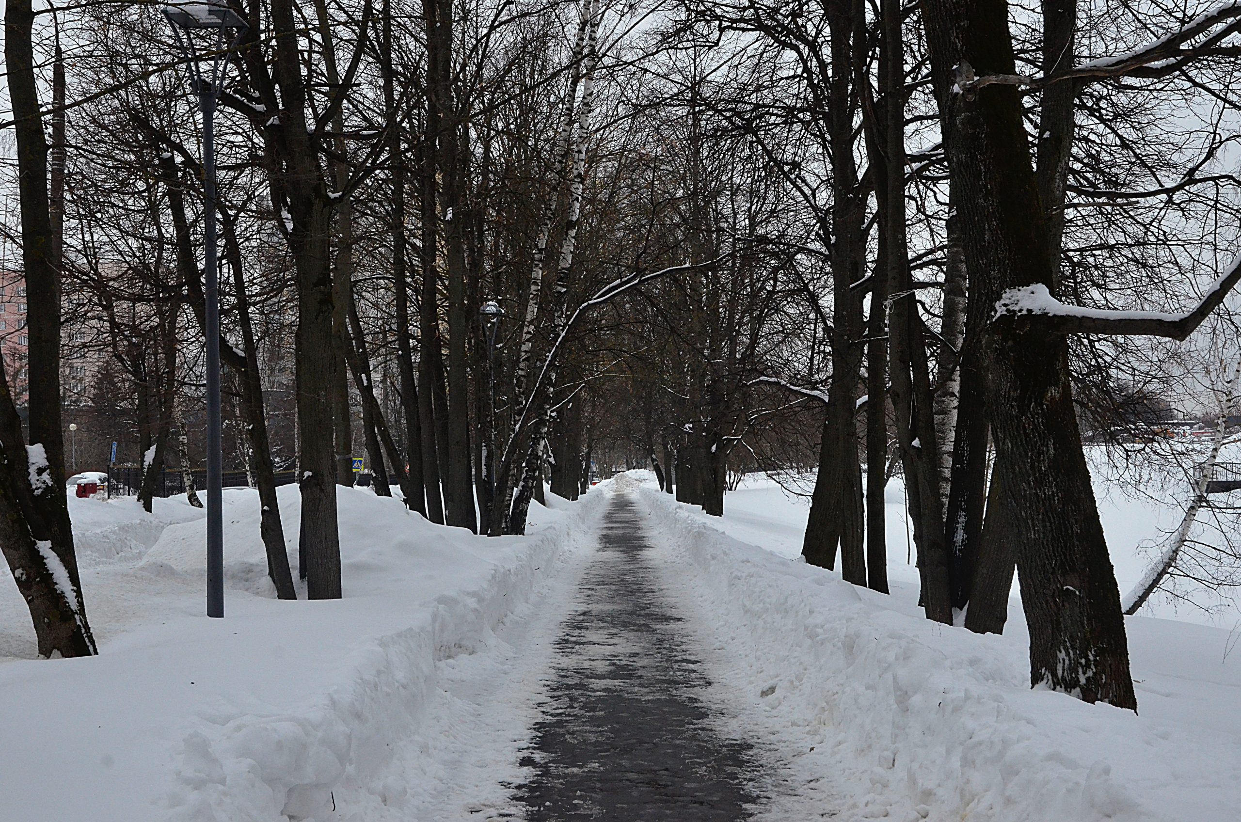 Команда туристического клуба школы №1272 отправится во вторую выездную тренировку. Фото: Анна Быкова, «Вечерняя Москва»