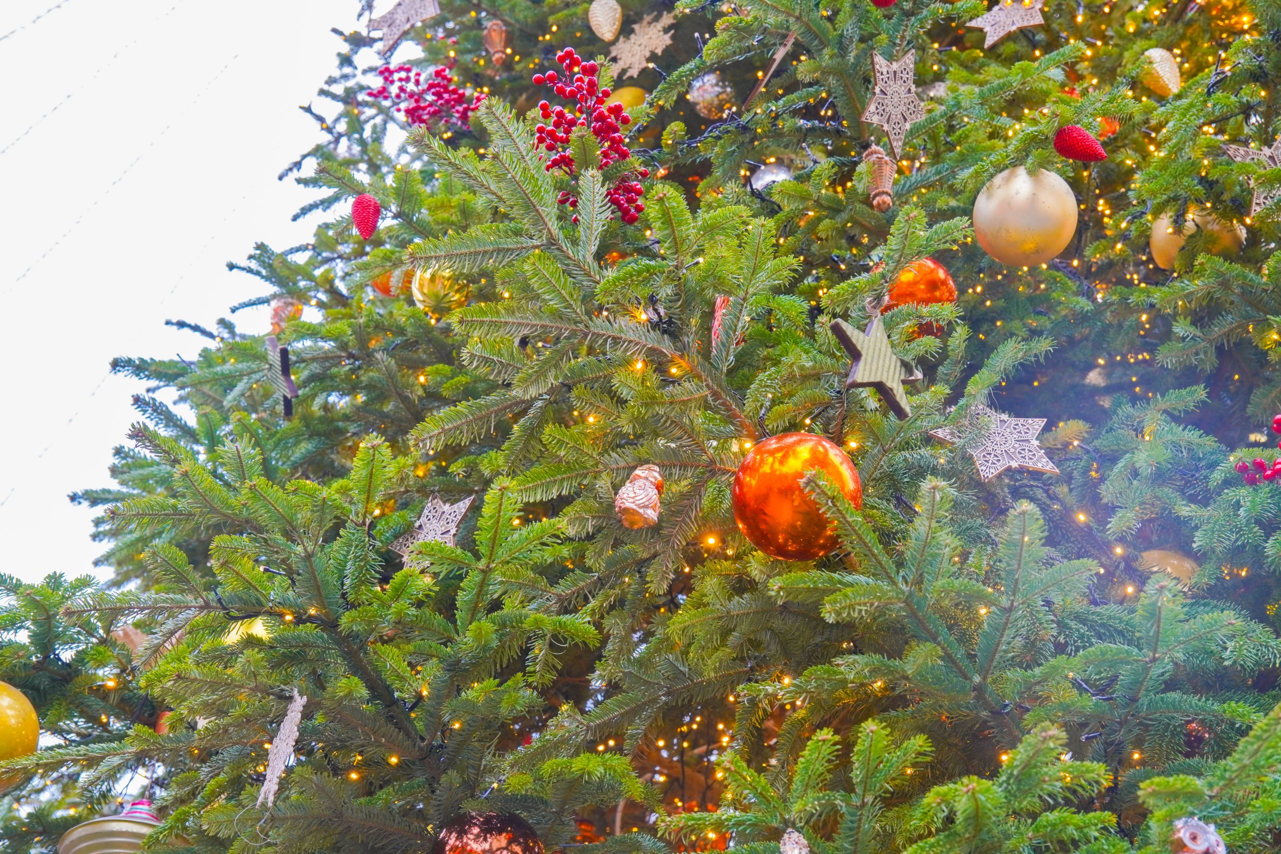 Представители управы Даниловского района пригласили на новогоднее мероприятие. Фото: Ксения Догонашева, «Вечерняя Москва»