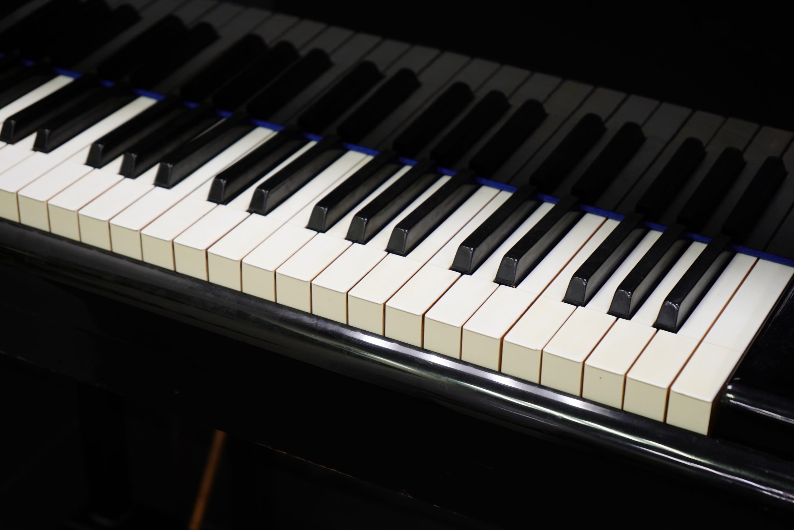 Комплексное просветительское мероприятие пройдет в библиотеке №163. Фото: Анна Быкова, «Вечерняя Москва»