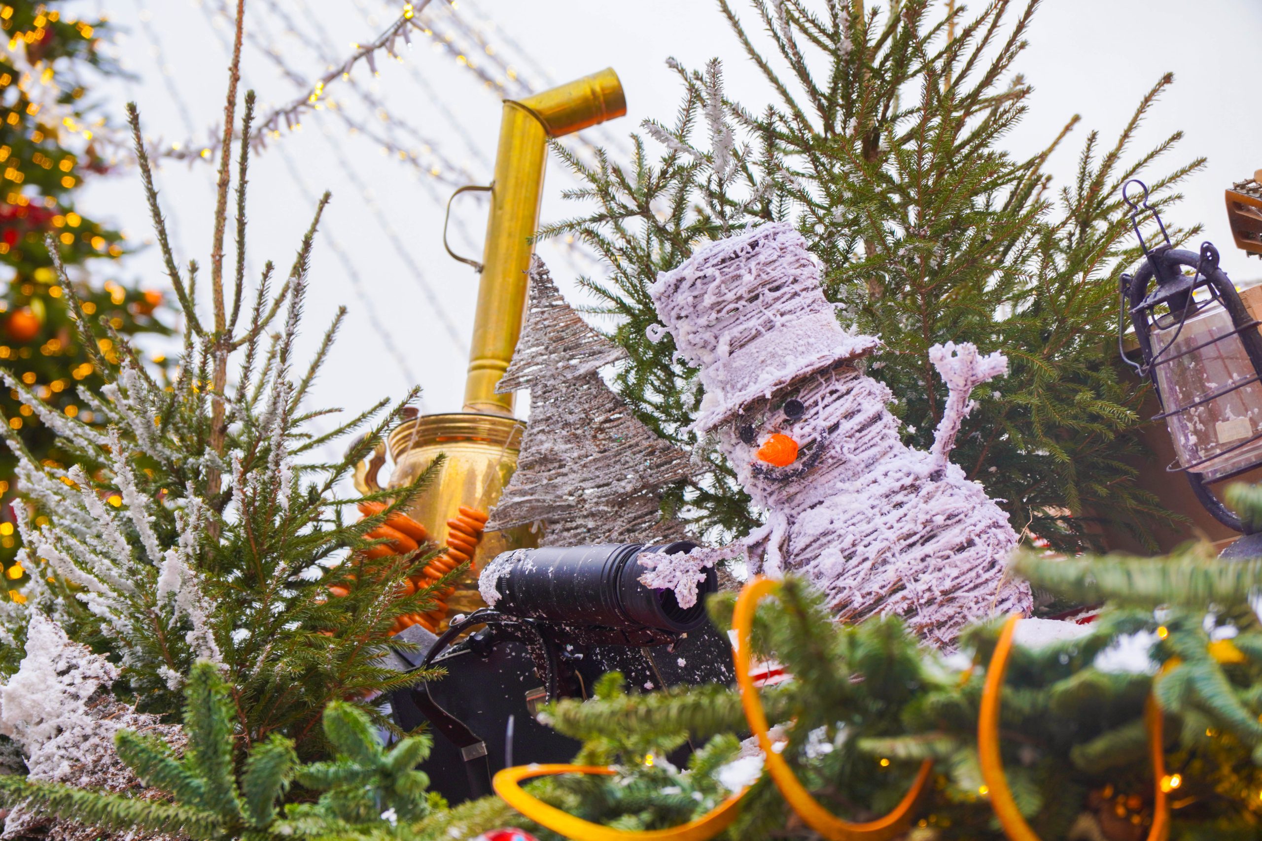 Интерактивная программа пройдет в Даниловском районе. Фото: Ксения Догонашева, «Вечерняя Москва»